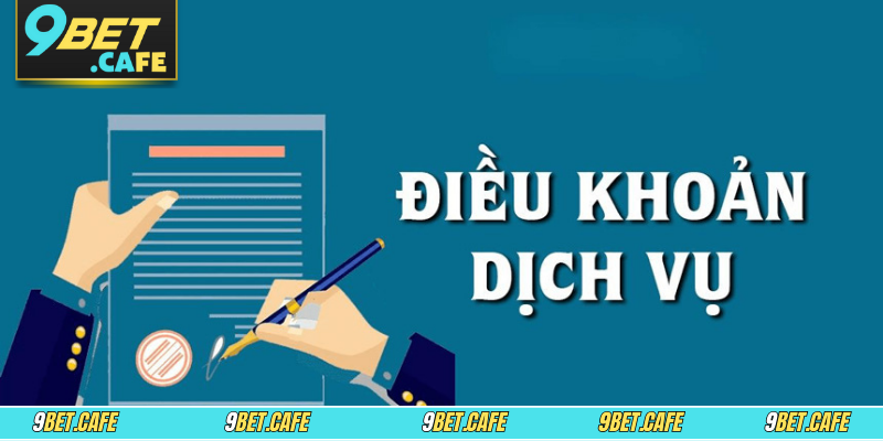 Điểm qua tầm quan trọng của điều khoản dịch vụ newbie nên xem 